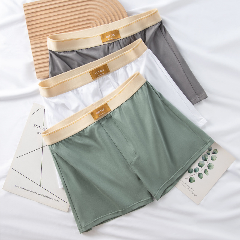 4 Stuks Mannelijke Pijl Broek  - Boyshort Underwear recensie en prijs